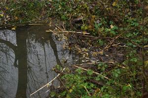 hať 08