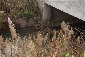 hať pod železničným viaduktom