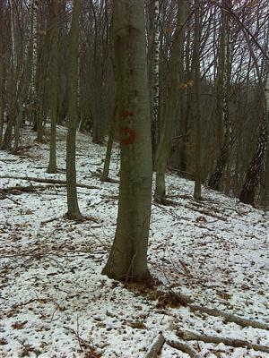 Stred TMP Ostružnica.