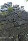 Silikátové skalné steny a svahy so štrbinovou vegetáciou (10.7.2019)