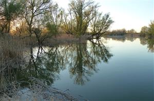 Vojčianske rameno z línie "B" večer proti prúdu na západ, bočné rozkonárenie doľava vytvára ostrovy (SanoAK: Alexander Kürthy / CC BY-SA (https://creativecommons.org/licenses/by-sa/4.0)