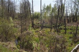 Castorland