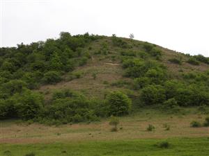 Vzhľad plochy TML_EchiRuss_024