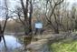 Vydra riečna  (16.3.2020)