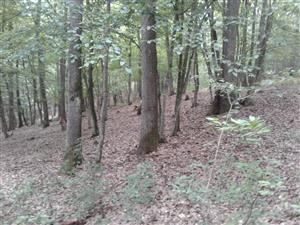 Lokalita č.2