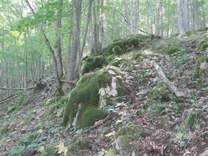 Pohľad na TML_8210_198