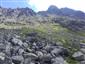 Silikátové skalné sutiny v montánnom až alpínskom stupni (10.7.2020)