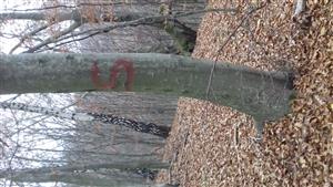 Stred TMP 2 