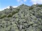 Silikátové skalné sutiny v montánnom až alpínskom stupni (15.7.2020)