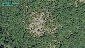 Mapka výskytu kvitnúcich jedincov Himantoglossum caprinum v sezóne 2020