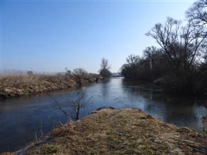 TML_CastFibe_181 Rimava_1