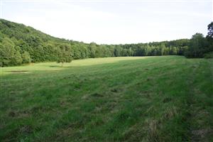 Celkový pohľad na mapovaný biotop, najväčšia lúka