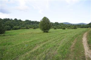 Pohľad na lúku č.2