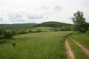 Celkový pohľad na biotop smerom na SZ
