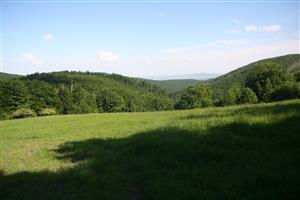 Celkový pohľad na biotop smerom na JV