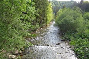 biotop vydry riečnej - rieka Revúca