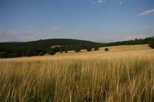 Celkový pohľad na biotop smerom na V