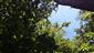 Teplomilné panónske dubové lesy (30.5.2021)
