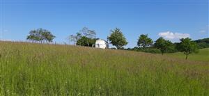 najkrajšia časť lokality, s prechodom do bromionu, približne odpovedá fotografi z minulého monitoringu, je vidieť akúsi "chatu" vyrobenú z auta