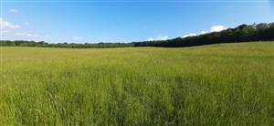 najväčšia časť lúky-mierne degradovný arrhenatherion