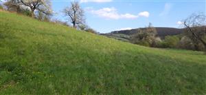 severozápadná časť lokality -Ištvičov, kde je nedostatočná intenzita kosenia a ktorá zarastá