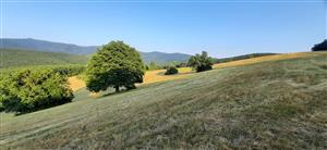 pohľad na južnú časť-Valachová