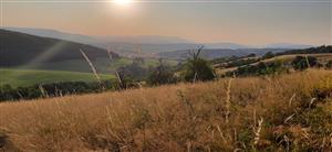 pohľad zvrchu na severnú polovicu lokality- Ištvičov ktorá sa zjavne recentne nekosí