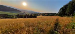 pohľad zvrchu na severnú polovicu lokality- Ištvičov ktorá sa zjavne recentne nekosí