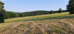 miesto fotografie z predchádzajúceho monitoringu, J časť - Valachová