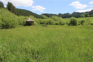 pohľad na mezofilnú vegetáciu na mieste niekdajšej slatiny