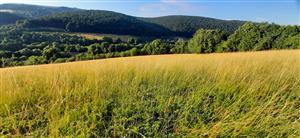 pekný arrhenatherion, U Tomanov