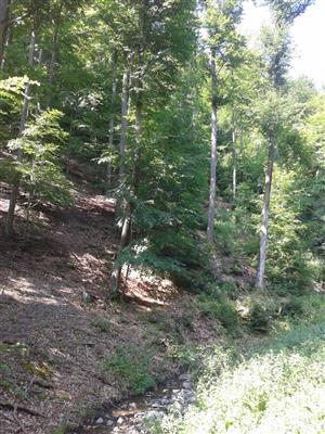 TML Hodrušská hornatina_TMP2