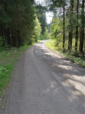 Pohľad na TML