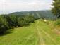 kobylka sedmohradská (4.8.2014)