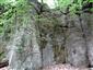 Silikátové skalné steny a svahy so štrbinovou vegetáciou (16.7.2021)