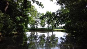 Pohľad na časť TML Veľký les, foto: 19.5.2021. J.Lengyel.