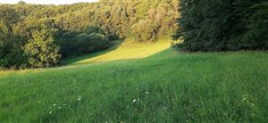 J časť lokality, otava