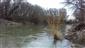 Pohľad na južnú časť TML Vodný stupeň Zúgov, tok rieky Nitry pod MVE Zúgov. Výskytový biotop Lutra lutra. Foto: 4.2.2021. J.Lengyel.