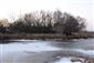 Pohľad na JV meander Žitavy, JV časť TML Žitavský luh - zimovisko Lutra lutra. Foto: 27.1.2020, J.Lengyel.