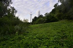 J časť lokality počas minulého monitoringu zachytená na fotografii č. 3