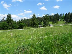 horná (východná) časť lokality