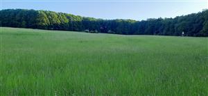 S časť lokality s posedom