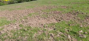 diviakmi zničená časť lokality, detail