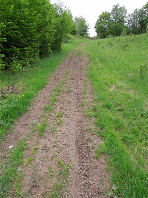 stopy po prejazde motorových vozidiel