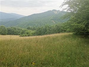 pohľad na južnú časť polygónu (zo stredu východného okraja), pohľad z rovnakého miesta ako foto 01