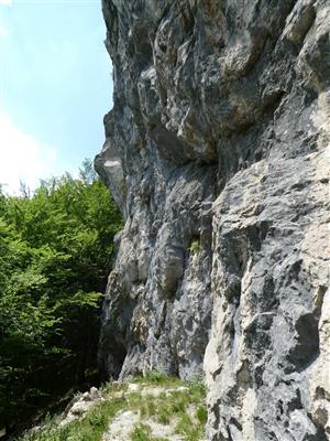 pohľad na lokalitu