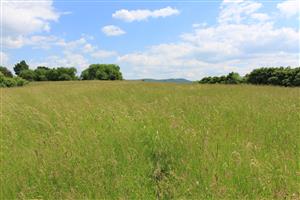Záber na monitorovaný biotop. 