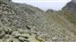 Silikátové skalné sutiny v montánnom až alpínskom stupni (17.8.2021)