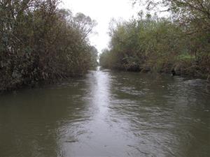 začiatok TMP proti prúdu