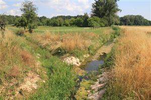TML - vo vybágrovanej časti rozvoj vláknitých rias ako dôsledok eutrofizácie vody
